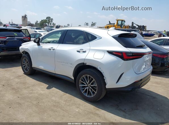 JTJADCAZ2P5011986 2023 LEXUS NX 250 Белый Задняя левая четверть