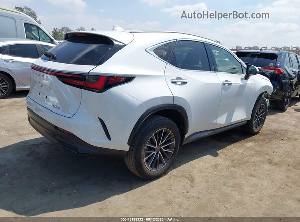 JTJADCAZ2P5011986 2023 LEXUS NX 250 Белый Задняя правая четверть