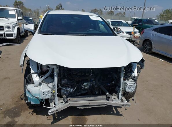 JTJADCAZ2P5011986 2023 LEXUS NX 250 Белый Вид задней части салона