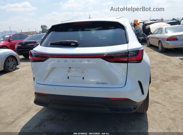 JTJADCAZ2P5011986 2023 LEXUS NX 250 Белый 