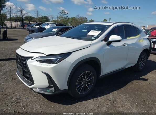 JTJAGCEZXR5007639 2024 LEXUS NX 350 White Vista tres cuartos delantera izquierda