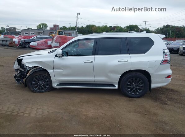 JTJAM7BX4P5375735 2023 LEXUS GX 460 White Widok wnętrza 360 stopni