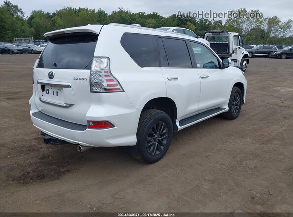 JTJAM7BX4P5375735 2023 LEXUS GX 460 White Tył prawy
