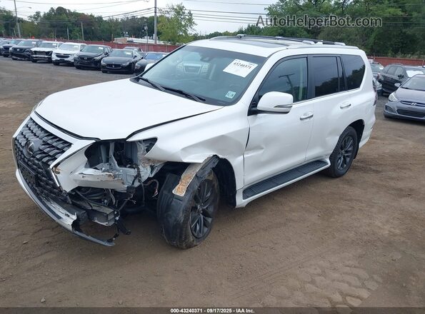 JTJAM7BX4P5375735 2023 LEXUS GX 460 White Przód lewy