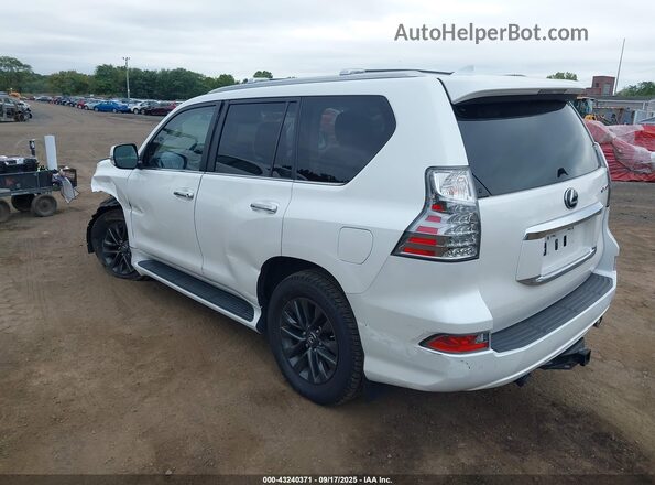 JTJAM7BX4P5375735 2023 LEXUS GX 460 White 