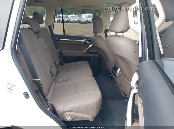 JTJAM7BX4P5375735 2023 LEXUS GX 460 White Widok naklejki z numerem VIN