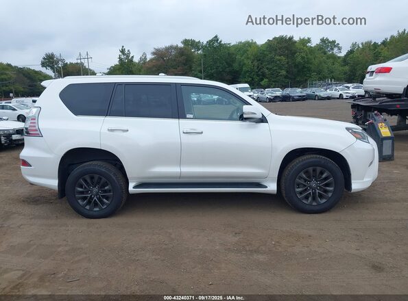JTJAM7BX4P5375735 2023 LEXUS GX 460 White Widok wnętrza z tyłu