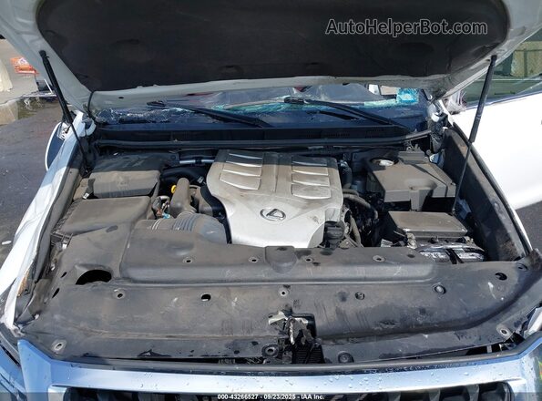 JTJAM7BX5L5264749 2020 LEXUS GX White Widok z tyłu