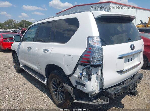 JTJAM7BX9P5380509 2023 LEXUS GX 460 White უკანა მარცხენა