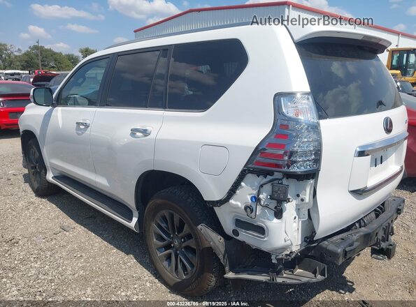 JTJAM7BX9P5380509 2023 LEXUS GX 460 White 