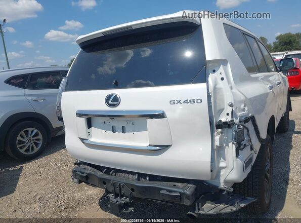 JTJAM7BX9P5380509 2023 LEXUS GX 460 White 