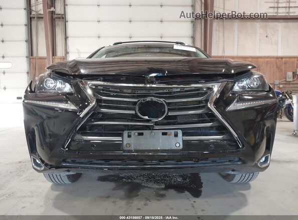 JTJBJRBZ4H2055005 2017 LEXUS NX 300H Black Դիմացի տեսք