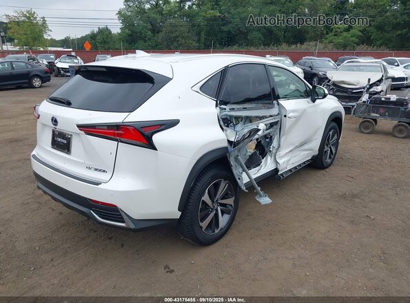 JTJBJRBZ6K2118242 2019 LEXUS NX 300H White Вид спереду