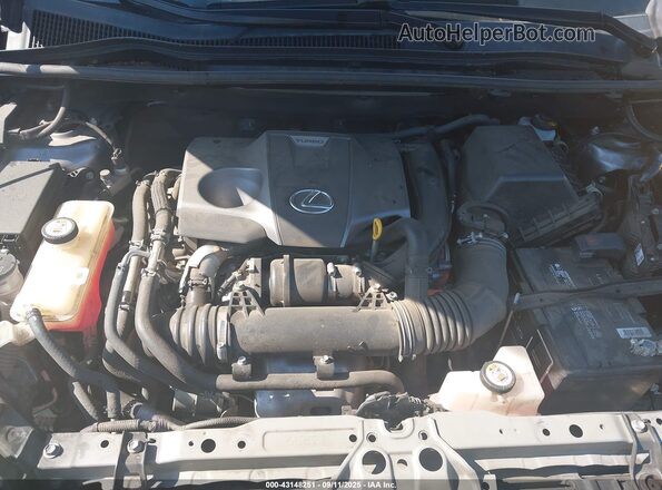 JTJDARBZ1L2163390 2020 LEXUS NX 300 Silver Вид ззаду
