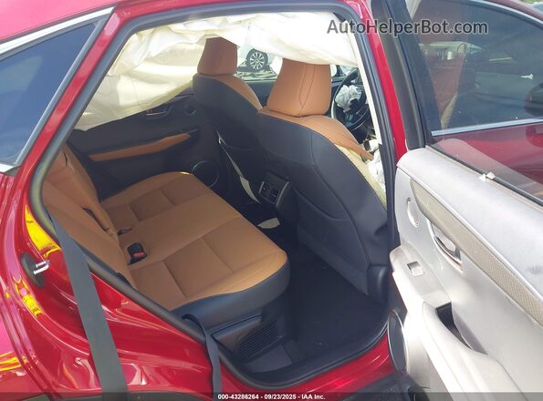 JTJDARBZ2L5013884 2020 LEXUS NX Red Vista de la etiqueta del VIN