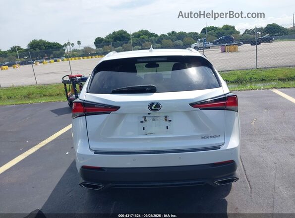 JTJDARBZ4L2177462 2020 LEXUS NX White 