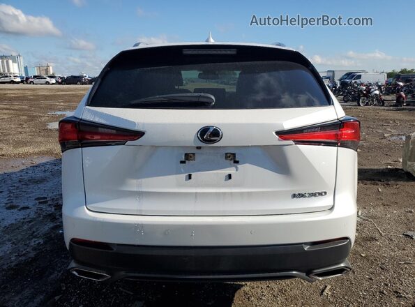 JTJDARBZ8L5007667 2020 LEXUS NX Белый Вид сзади