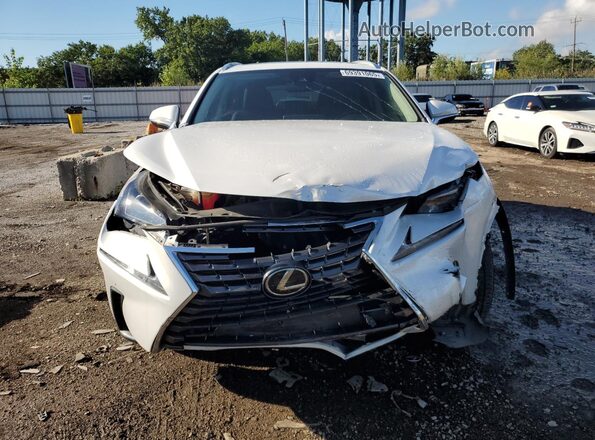 JTJDARBZ8L5007667 2020 LEXUS NX Белый Вид спереди
