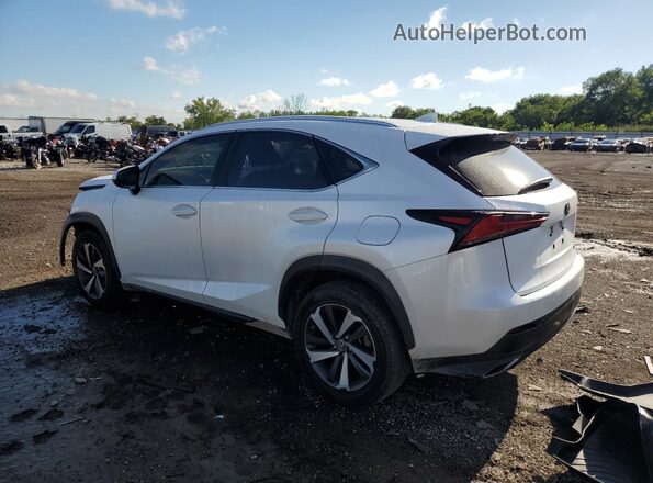JTJDARBZ8L5007667 2020 LEXUS NX Белый Задняя левая четверть