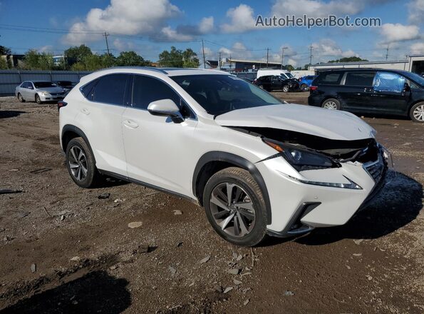 JTJDARBZ8L5007667 2020 LEXUS NX Белый Передняя правая четверть