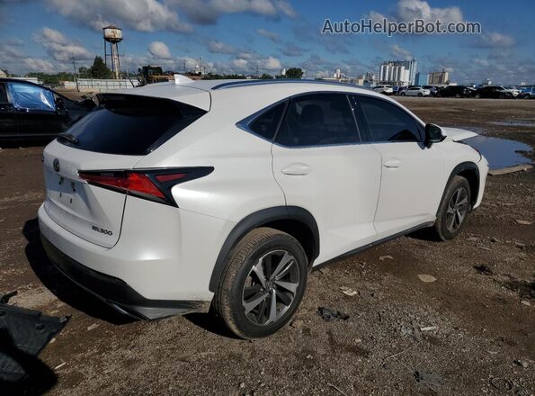 JTJDARBZ8L5007667 2020 LEXUS NX Белый Задняя правая четверть