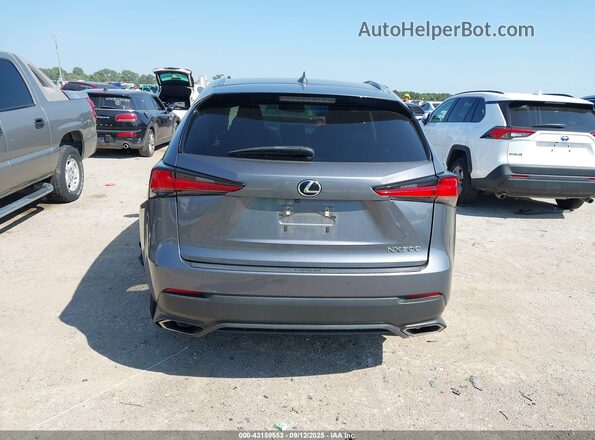 JTJDARBZ8M2178647 2021 LEXUS NX 300 Gray 