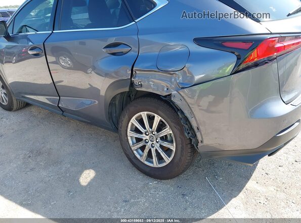 JTJDARBZ8M2178647 2021 LEXUS NX 300 Gray 