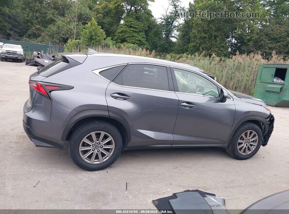 JTJDARBZ9M2183677 2021 LEXUS NX 300 Gray სალონის 360-გრადუსიანი ხედი