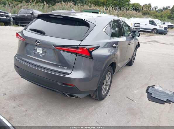 JTJDARBZ9M2183677 2021 LEXUS NX 300 Gray უკანა მარჯვენა