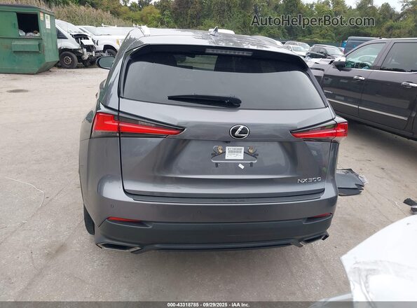 JTJDARBZ9M2183677 2021 LEXUS NX 300 Gray 