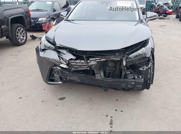 JTJDARBZ9M2183677 2021 LEXUS NX 300 Gray წინა ხედი