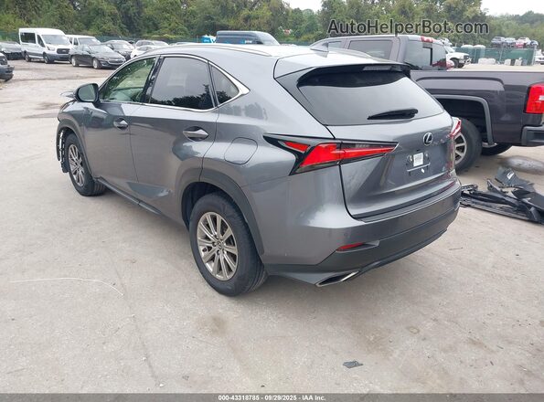 JTJDARBZ9M2183677 2021 LEXUS NX 300 Gray უკანა მარცხენა