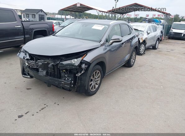 JTJDARBZ9M2183677 2021 LEXUS NX 300 Gray წინა მარცხენა ხედი სამი მეოთხედიდან