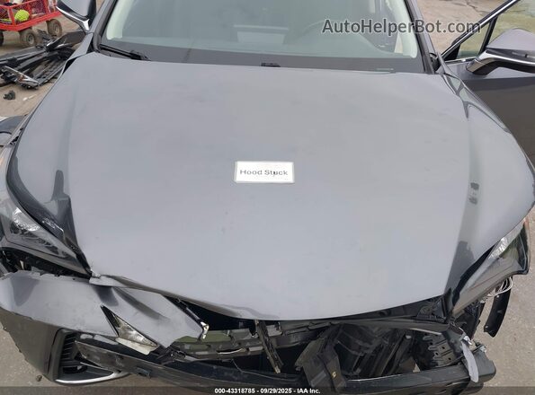JTJDARBZ9M2183677 2021 LEXUS NX 300 Gray უკანა ხედი