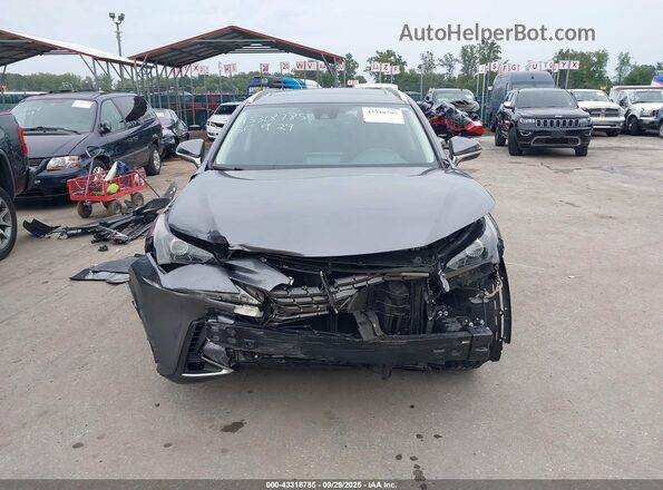 JTJDARBZ9M2183677 2021 LEXUS NX 300 Gray უკანა სალონის ხედი