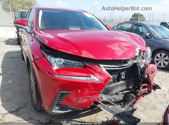 JTJDARBZXM5031082 2021 LEXUS NX Red Вид спереду