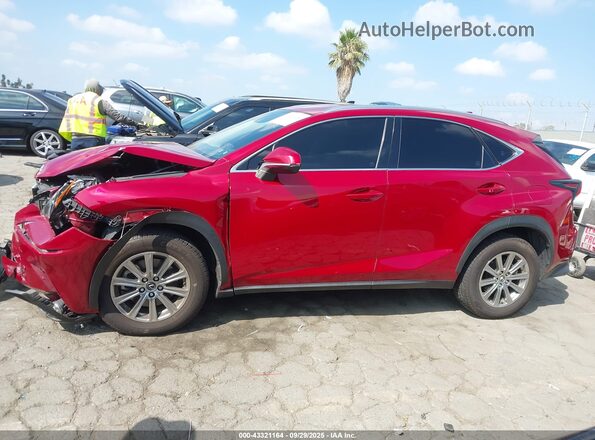 JTJDARBZXM5031082 2021 LEXUS NX Red Панорамний вид салону 360°