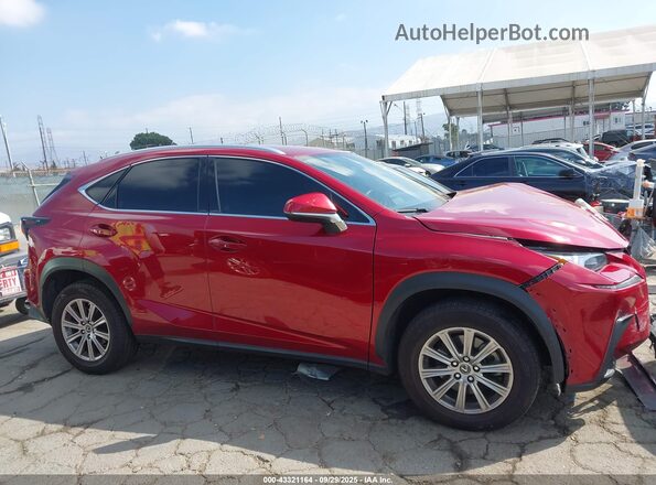 JTJDARBZXM5031082 2021 LEXUS NX Red Вид задньої частини салону