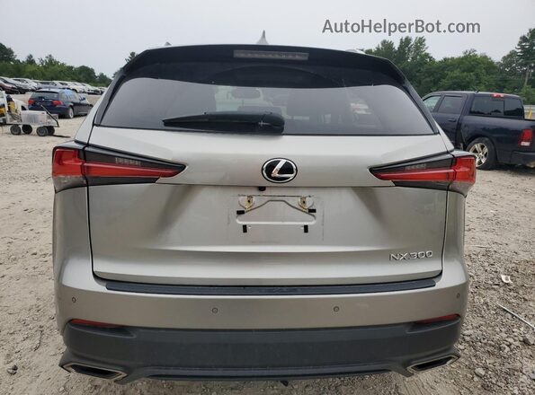 JTJDARDZXM2260215 2021 LEXUS NX Gray Вид ззаду