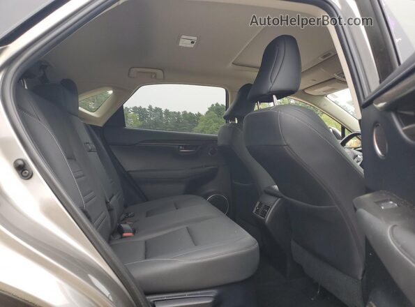 JTJDARDZXM2260215 2021 LEXUS NX Gray Вид задньої частини салону