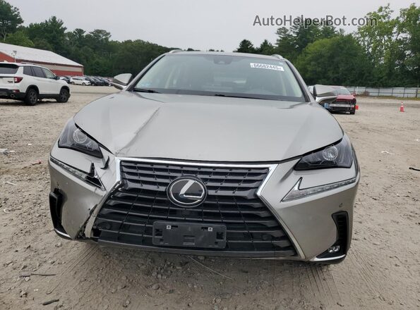 JTJDARDZXM2260215 2021 LEXUS NX Gray Вид спереду