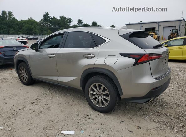 JTJDARDZXM2260215 2021 LEXUS NX Gray Задня ліва чверть