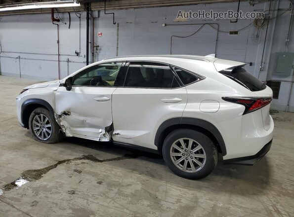 JTJDARDZXM5026297 2021 LEXUS NX White Tył lewy