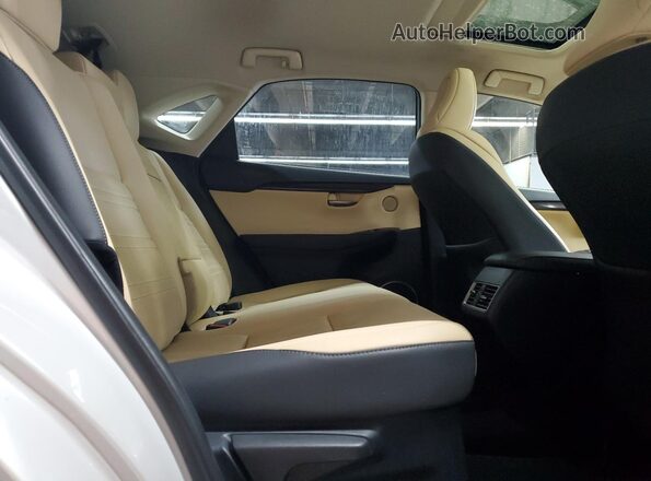 JTJDARDZXM5026297 2021 LEXUS NX White Widok tylnych siedzeń