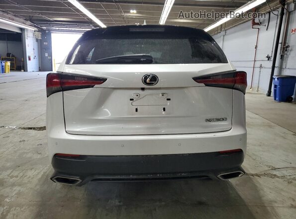 JTJDARDZXM5026297 2021 LEXUS NX White Widok z tyłu
