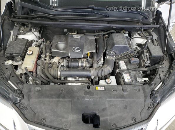 JTJDARDZXM5026297 2021 LEXUS NX White Widok wnętrza z tyłu