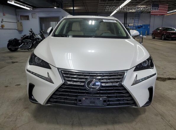 JTJDARDZXM5026297 2021 LEXUS NX White Widok z przodu