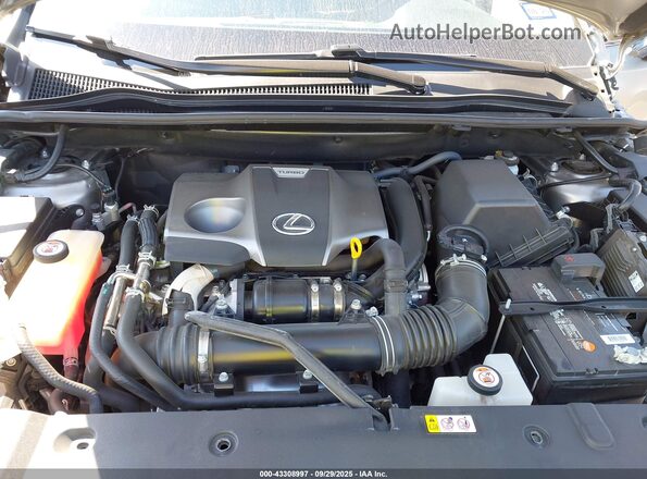 JTJGARBZ6M2198683 2021 LEXUS NX Gray Հետևի տեսք