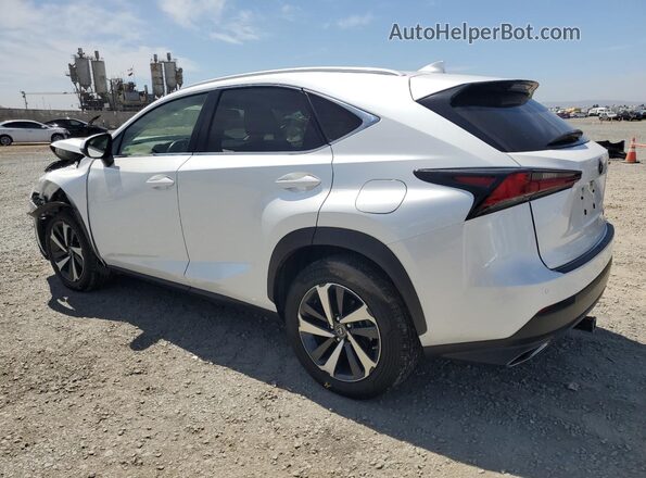 JTJGARDZ1L5006872 2020 LEXUS NX White 