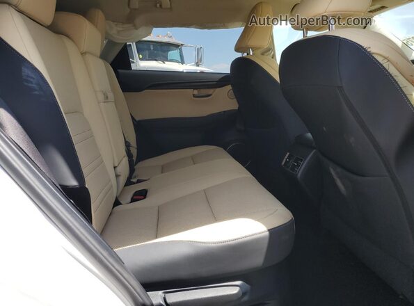 JTJGARDZ1L5006872 2020 LEXUS NX White 